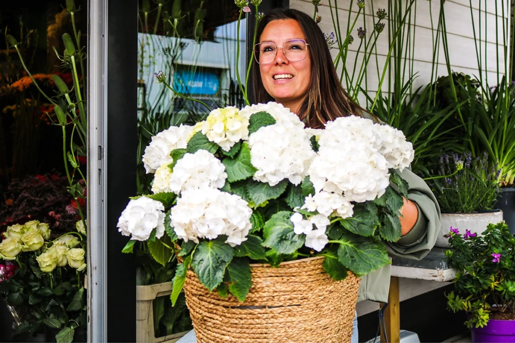 Bloemist Hello Bloom in Hilversum met verse bloemen en boeketten