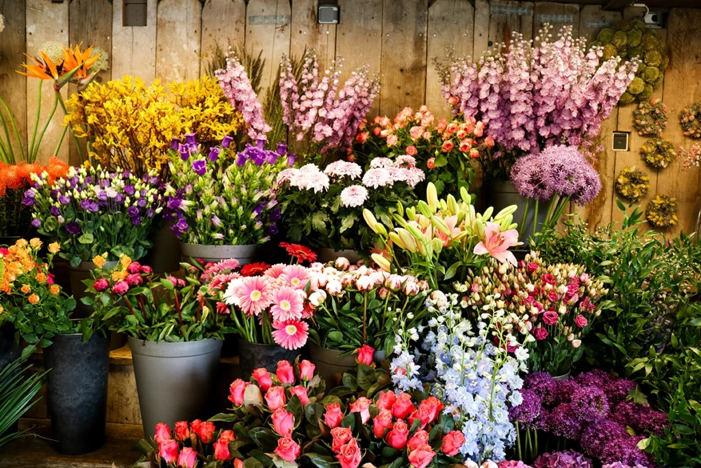 Bloemist Hello Bloom in Hilversum met verse bloemen en boeketten